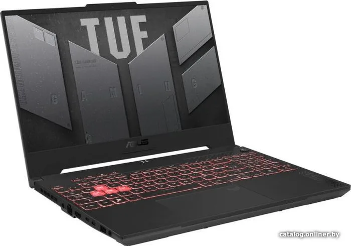 Notbuk Asus TUF Gaming FA507NU-LP037 (90NR0EB5-M008P0)